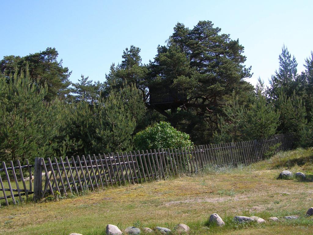 Villa Treimani Puhkemaja Chambre photo